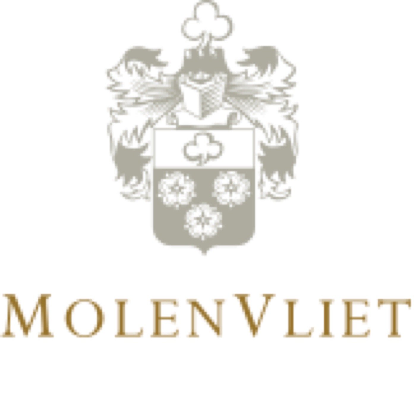 MolenVliet Oosthuizen Family Vineyards wedding venue